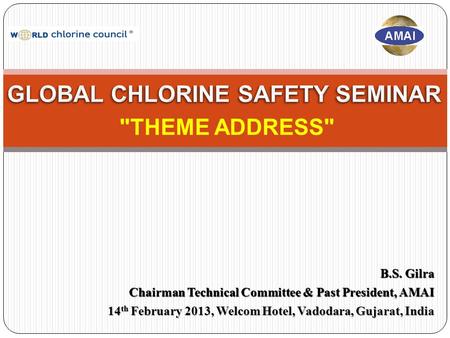 B.S. Gilra Chairman Technical Committee & Past President, AMAI 14 th February 2013, Welcom Hotel, Vadodara, Gujarat, India THEME ADDRESS