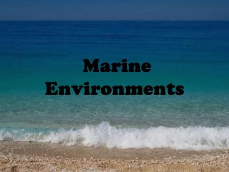 Marine Environments. Why is the water below foaming?