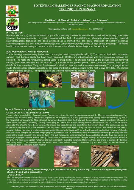 POTENTIAL CHALLENGES FACING MACROPROPAGATION TECHNIQUE IN BANANA Njeri Njau 1*, M. Mwangi 1, R. Gathu 1, J. Mbaka 2, and R. Muasya 1 1 Dept. of Agricultural.