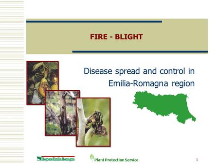 Plant Protection Service 1 FIRE - BLIGHT Disease spread and control in Emilia-Romagna region.