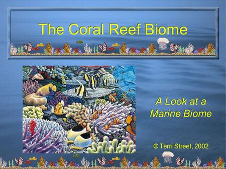 A Look at a Marine Biome © Terri Street, 2002