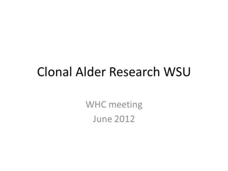 Clonal Alder Research WSU WHC meeting June 2012. Current Standing of the Alder Clonal Work As of May 2011, the Alder clonal research carried out at Weyerhaeuser.