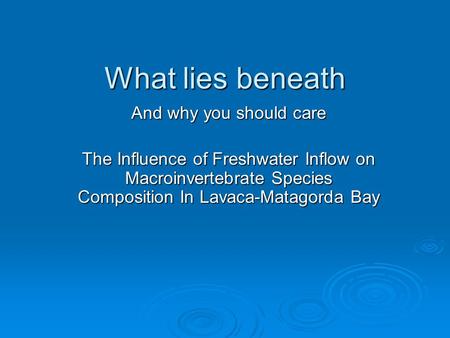 What lies beneath And why you should care The Influence of Freshwater Inflow on Macroinvertebrate Species Composition In Lavaca-Matagorda Bay.