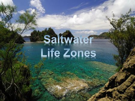 Major Factors in Aquatic Ecosystems Temperature -decreases with depth -affects dissolved gases, rates of chemical reactions, & where organisms can live.