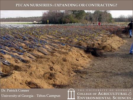 PECAN NURSERIES : EXPANDING OR CONTRACTING? Dr. Patrick Conner University of Georgia – Tifton Campus.