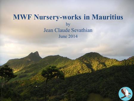 MWF Nursery-works in Mauritius by Jean Claude Sevathian June 2014.