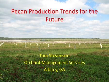 Pecan Production Trends for the Future