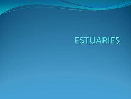 Estuaries Place where freshwater from a river or stream mixes with salt water from the ocean Embayment- Coastal area that is partially cut off from the.