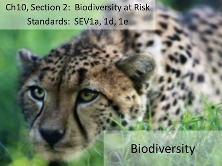 Ch10, Section 2: Biodiversity at Risk Standards: SEV1a, 1d, 1e