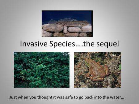 Invasive Species….the sequel Just when you thought it was safe to go back into the water…