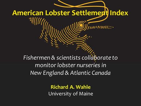 Fishermen & scientists collaborate to monitor lobster nurseries in New England & Atlantic Canada Richard A. Wahle University of Maine.