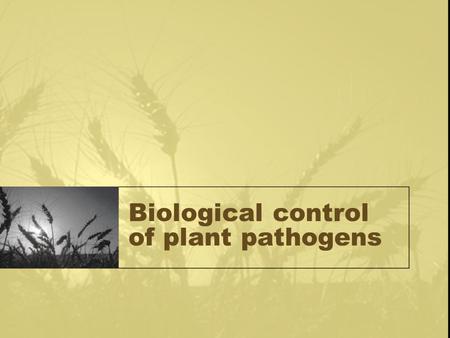 Biological control of plant pathogens