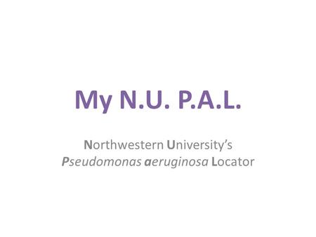 My N.U. P.A.L. Northwestern University’s Pseudomonas aeruginosa Locator.