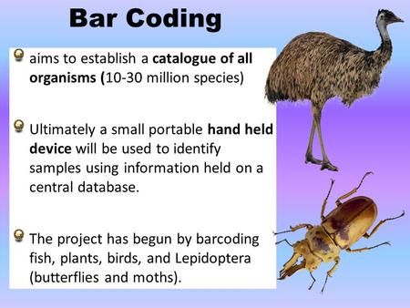 Aims to establish a catalogue of all organisms (10-30 million species) Ultimately a small portable hand held device will be used to identify samples using.