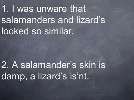 1. I was unware that salamanders and lizard’s looked so similar. 2. A salamander’s skin is damp, a lizard’s is’nt.