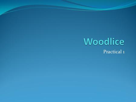 Practical 1. Learning objectives: By the end of the lesson you should be able to: Describe behavioural adaptations in animals using woodlice as an example.