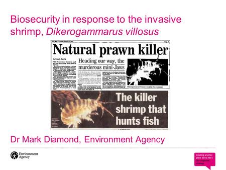 Biosecurity in response to the invasive shrimp, Dikerogammarus villosus Dr Mark Diamond, Environment Agency.