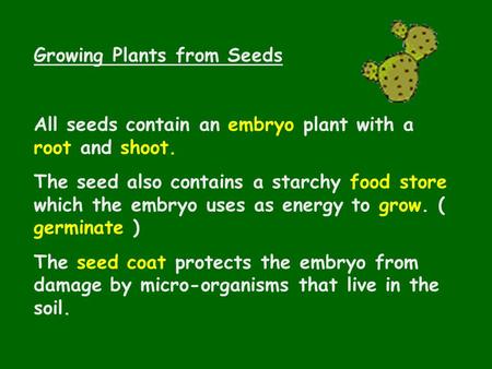 Growing Plants from Seeds