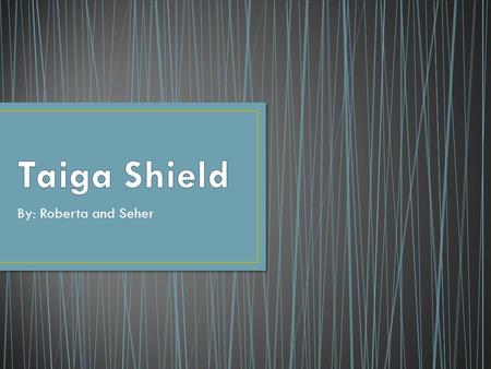 By: Roberta and Seher. The Taiga Shield Zone is located just to the East of the Taiga Plains, South of the Southern Artic Zone, and North of the Boreal.