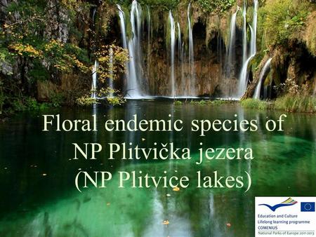 Floral endemic species of NP Plitvička jezera (NP Plitvice lakes)