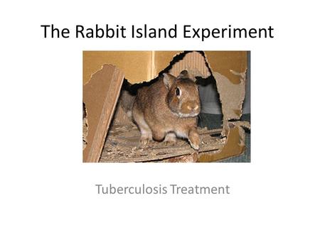 The Rabbit Island Experiment