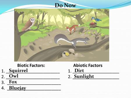 Do Now Biotic Factors: Abiotic Factors 1. _______________________ 1. ____________________ 2. _______________________ 2. ____________________ 3. _______________________.