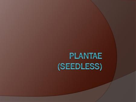 Introduction Plantae (Seedless) Liverworts Hornworts Mosses Nonvascular Fern Whisk fern Horsetail Club mosses Vascular.