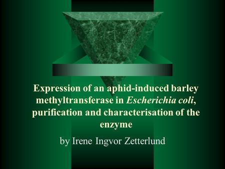 Expression of an aphid-induced barley methyltransferase in Escherichia coli, purification and characterisation of the enzyme by Irene Ingvor Zetterlund.