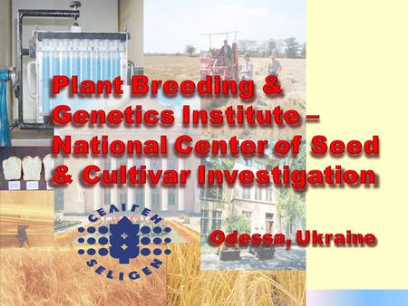 ◘ The Plant Breeding and Genetics Institute – National Center of Seed & Cultivar Investigation is one of the leading centers of agricultural science in.