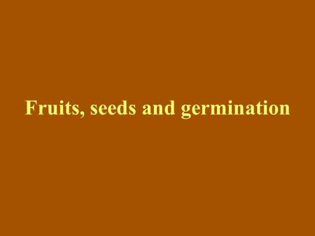 Fruits, seeds and germination. Embryo forms from upper part of the zygote Fig. 31.7a-d, p. 536 Globular stage Heart - shapped stage vacuole nucleus Single.