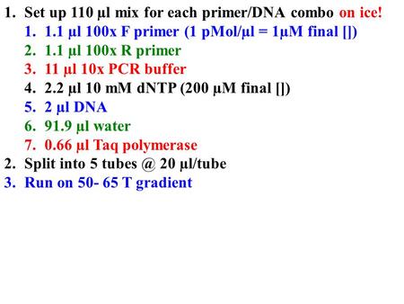 1.Set up 110 µl mix for each primer/DNA combo on ice! 1.1.1 µl 100x F primer (1 pMol/µl = 1µM final []) 2.1.1 µl 100x R primer 3.11 µl 10x PCR buffer 4.2.2.