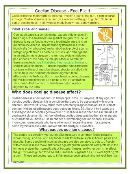 Coeliac Disease - Fact File 1 Coeliac disease mainly affects the small intestine (part of the gut). It can occur at any age. Coeliac disease is caused.