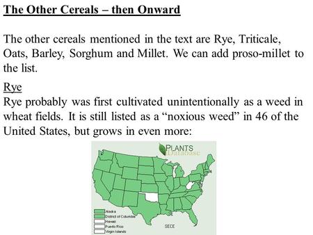 The Other Cereals – then Onward The other cereals mentioned in the text are Rye, Triticale, Oats, Barley, Sorghum and Millet. We can add proso-millet to.