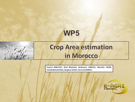 Crop Area estimation in Morocco