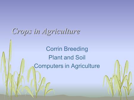 Crops in Agriculture Corrin Breeding Plant and Soil Computers in Agriculture.