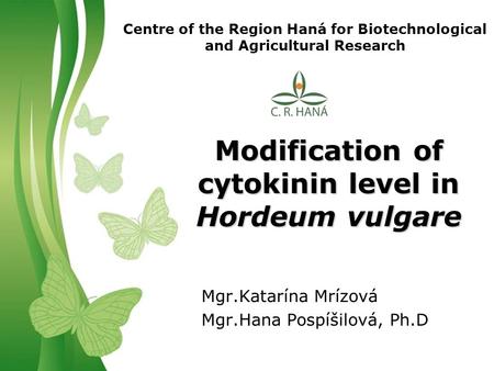 Free Powerpoint TemplatesPage 1Free Powerpoint Templates Modification of cytokinin level in Hordeum vulgare Centre of the Region Haná for Biotechnological.