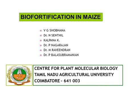  V G SHOBHANA  Dr. N SENTHIL  KALPANA K.  Dr. P NAGARAJAN  Dr. M RAVEENDRAN  Dr. P BALASUBRAMANIAN CENTRE FOR PLANT MOLECULAR BIOLOGY TAMIL NADU.