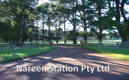 The Business 17 500 Acres Family owned 27” rainfall (680mm) 1500 cows calving 20 000 merino ewes Rolling red gums Jackaroo program.