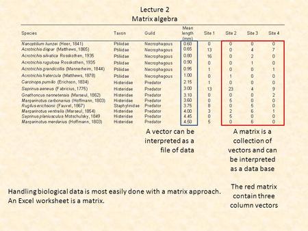 Lecture 2 Matrix algebra A vector can be interpreted as a file of data A matrix is a collection of vectors and can be interpreted as a data base The red.