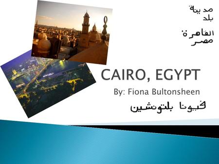 By: Fiona Bultonsheen. Cairo is approximately 214 square kilometers in area and 841 miles from the Mediterranean Sea.