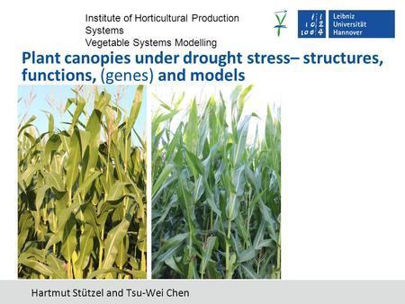 Institute of Horticultural Production Systems Vegetable Systems Modelling Hartmut Stützel and Tsu-Wei Chen Plant canopies under drought stress– structures,