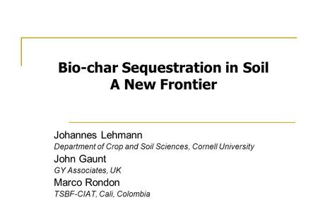 Johannes Lehmann Department of Crop and Soil Sciences, Cornell University John Gaunt GY Associates, UK Marco Rondon TSBF-CIAT, Cali, Colombia Bio-char.