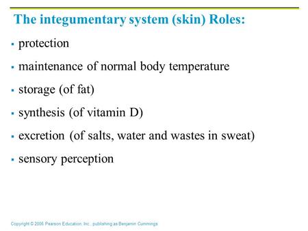 Copyright © 2006 Pearson Education, Inc., publishing as Benjamin Cummings The integumentary system (skin) Roles:  protection  maintenance of normal body.