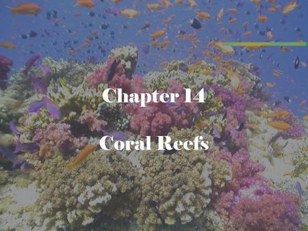 Chapter 14 Coral Reefs.