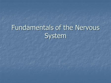 Fundamentals of the Nervous System