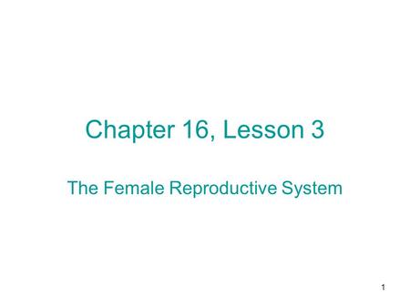 The Female Reproductive System