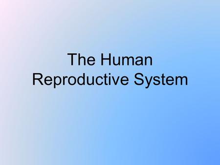 The Human Reproductive System