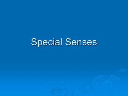 Special Senses.