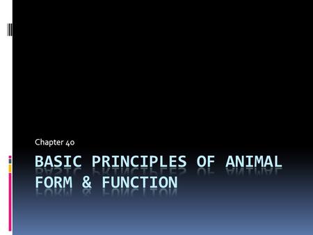 Chapter 40. Problem Solving  Animals must solve basic challenges of life:  Obtain oxygen  Nourish themselves  Excrete waste products  Move  These.