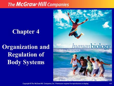 Copyright © The McGraw-Hill Companies, Inc. Permission required for reproduction or display. Chapter 4 Organization and Regulation of Body Systems 4-1.